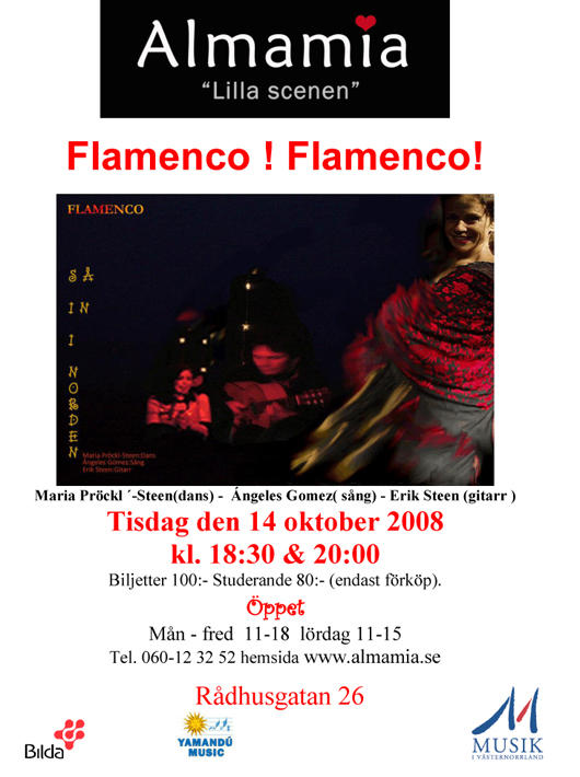 14-okt-2008-flamenco-flamenco